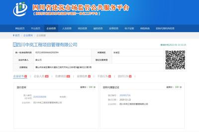四川中岚工程项目管理