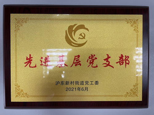 致敬百年 砥砺前行 我司开展庆祝建党100周年系列活动