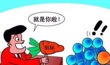 16亿元项目,1分钱中标代理招标