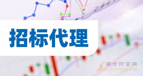 招标代理的龙头股有哪些 2024 9 30