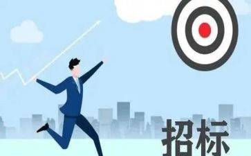 2024年招标代理工作的个人总结5篇