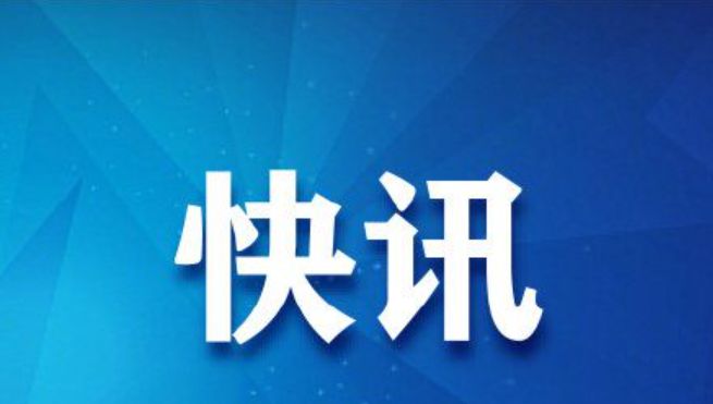 招标代理工作制度及流程