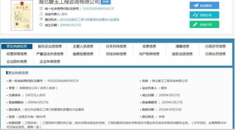 湖北碧玉招标代理公司的法人是谁