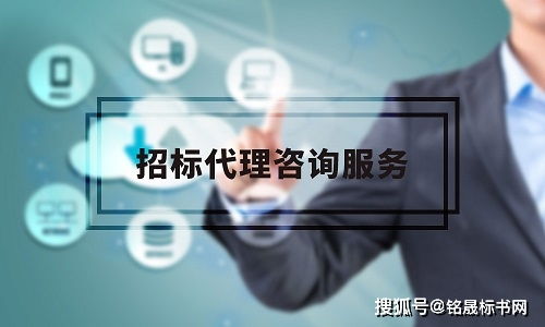 注册招标代理公司需要什么条件