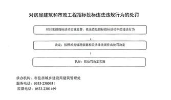 对招标代理机构可能影响公平竞争行为的处罚