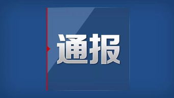 舒城 关于对4家招标代理机构的通报