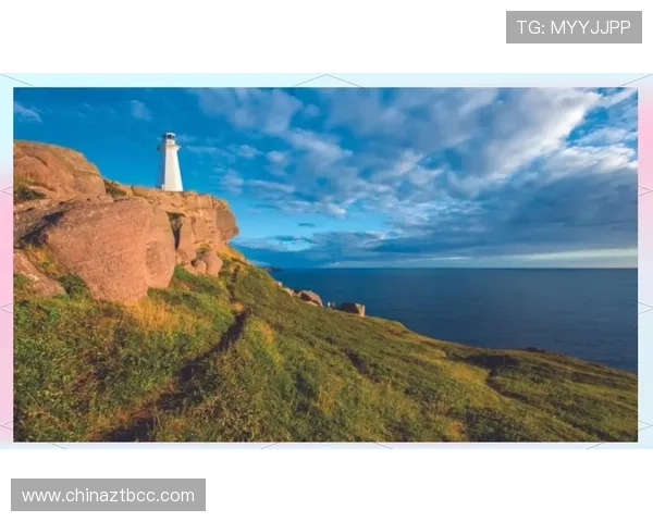 跟随银幕脚步踏遍世界风光在光影旅程中发现心灵自由魅力之旅 跟随银幕脚步踏遍世界风光在光影旅程中发现心灵自由魅力之旅