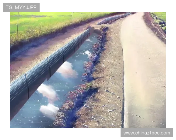 来自风宁静的明日：倾听内心的回响，预见无限可能